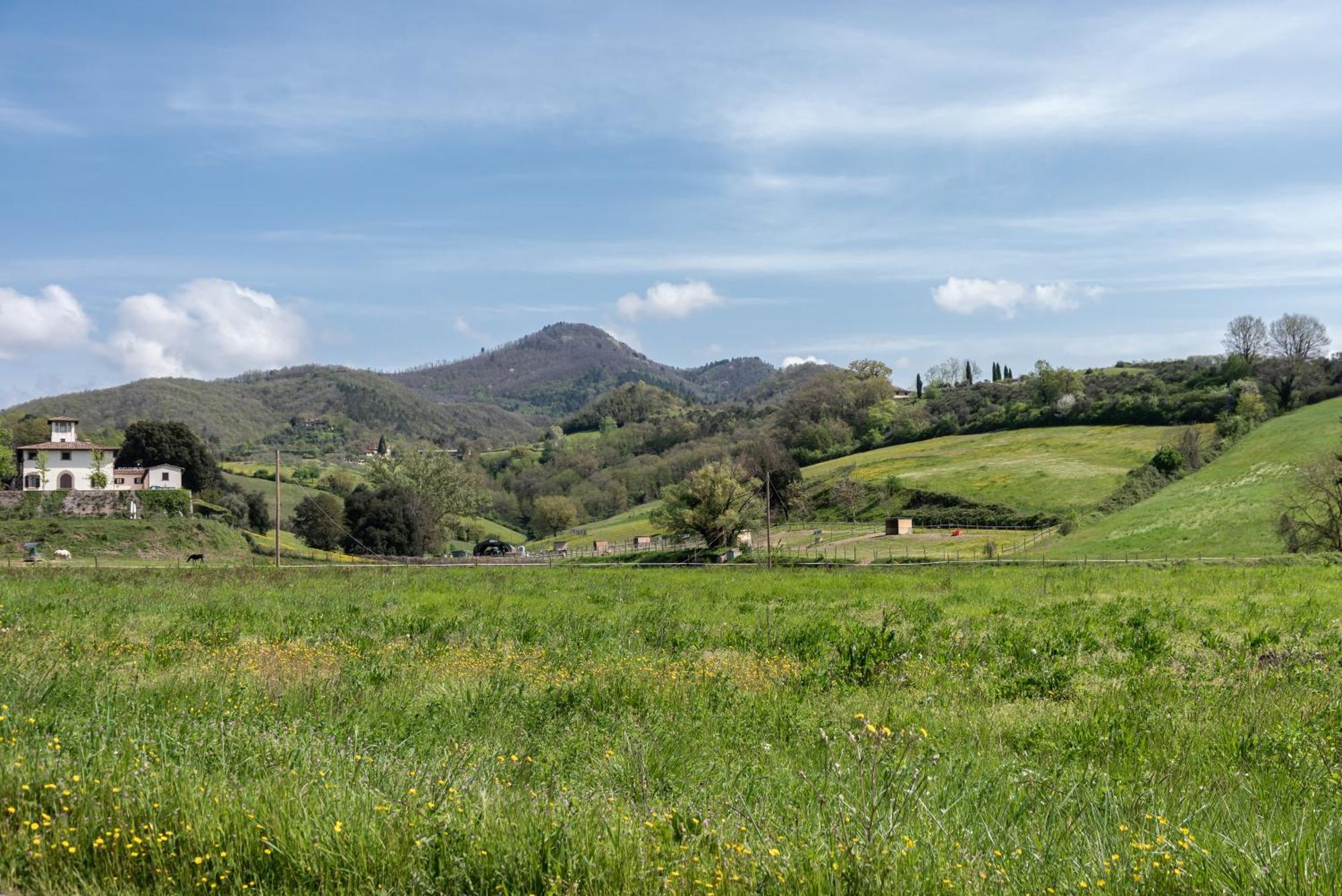 Agriturismo Il Ponte - Frantoio Vicchio Buitenkant foto