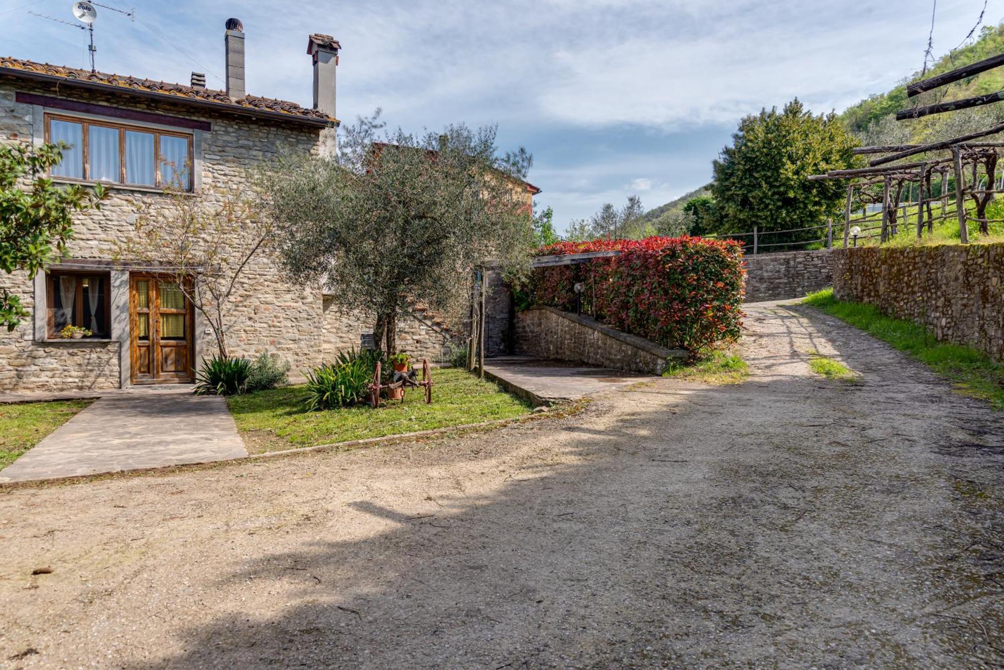 Agriturismo Il Ponte - Frantoio Vicchio Buitenkant foto